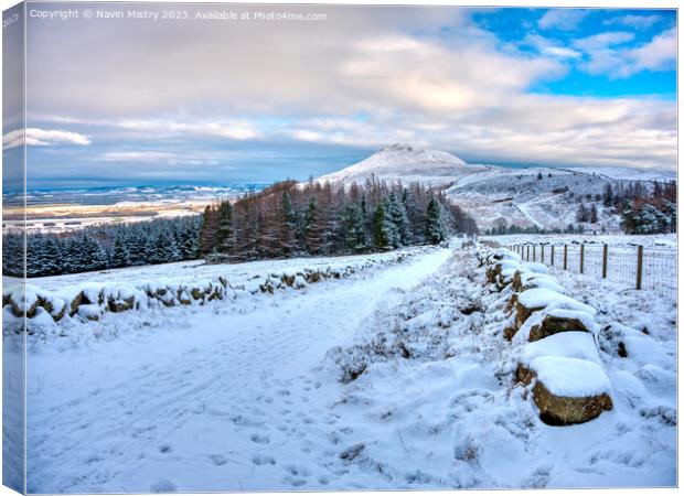 Winter and the East Lomond Canvas Print by Navin Mistry