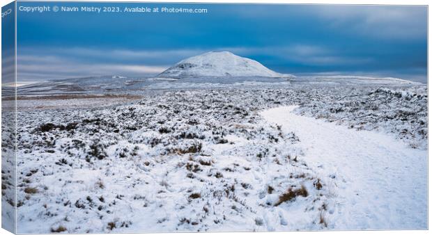 A view of West Lomond Hill Canvas Print by Navin Mistry