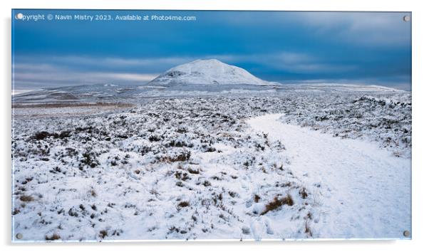 A view of West Lomond Hill Acrylic by Navin Mistry