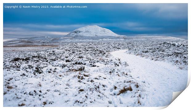A view of West Lomond Hill Print by Navin Mistry
