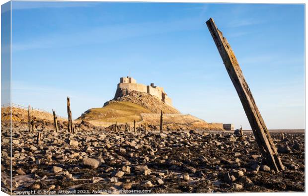 Lindisfarne Castle Canvas Print by Bryan Attewell