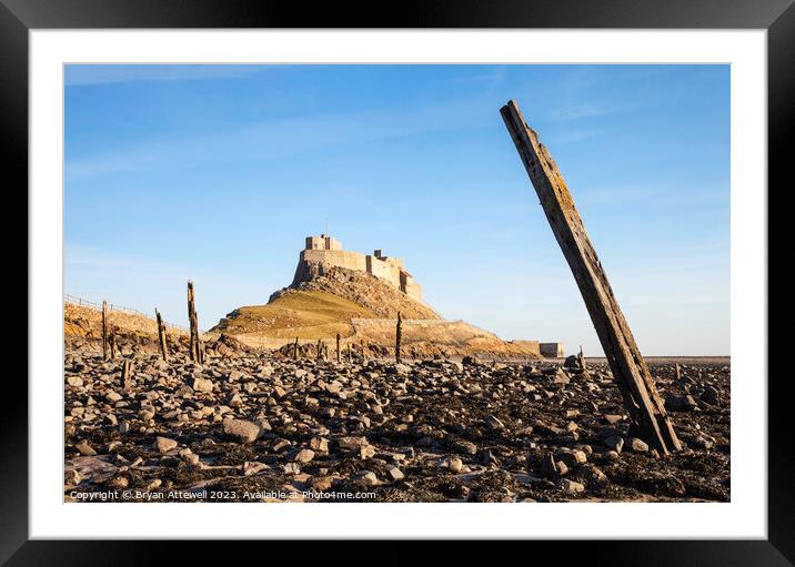 Lindisfarne Castle Framed Mounted Print by Bryan Attewell