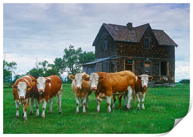 Guarding the Old Homestead Print by Dave Reede