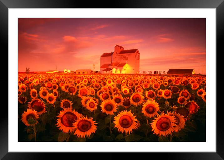 First Light Over Farmland  Framed Mounted Print by Dave Reede