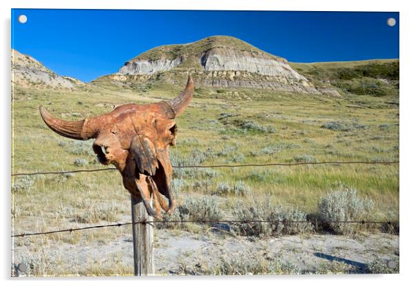 Old Buffalo Skull on Fence Post Acrylic by Dave Reede