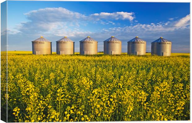 Grian Bins in Canola Field Canvas Print by Dave Reede