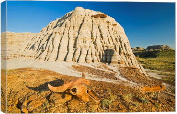 Relic in the Badlands Canvas Print by Dave Reede