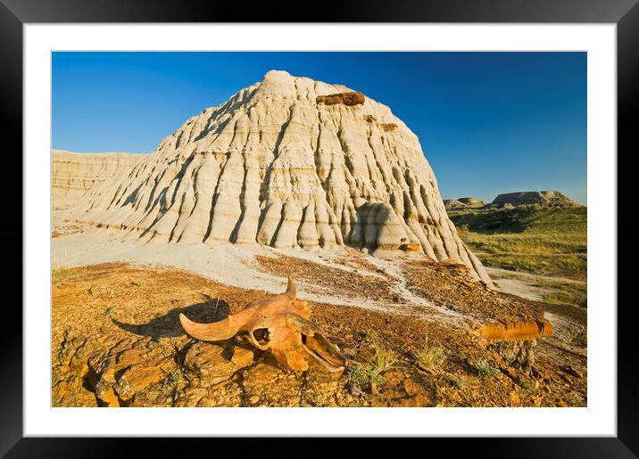 Relic in the Badlands Framed Mounted Print by Dave Reede