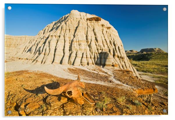 Relic in the Badlands Acrylic by Dave Reede
