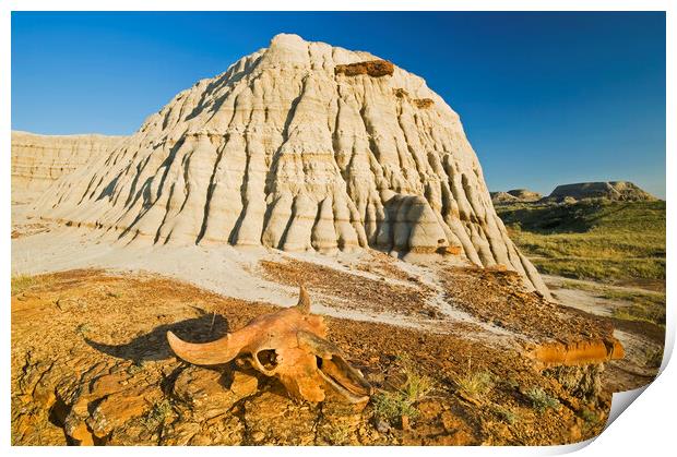 Relic in the Badlands Print by Dave Reede