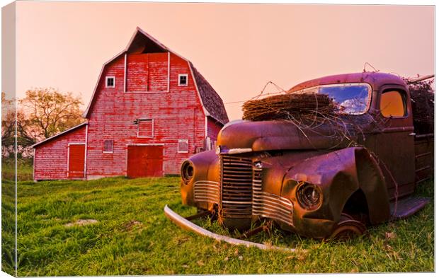 Worse For Wear Canvas Print by Dave Reede