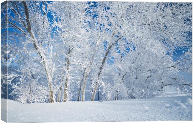 Frosty Day Canvas Print by Dave Reede