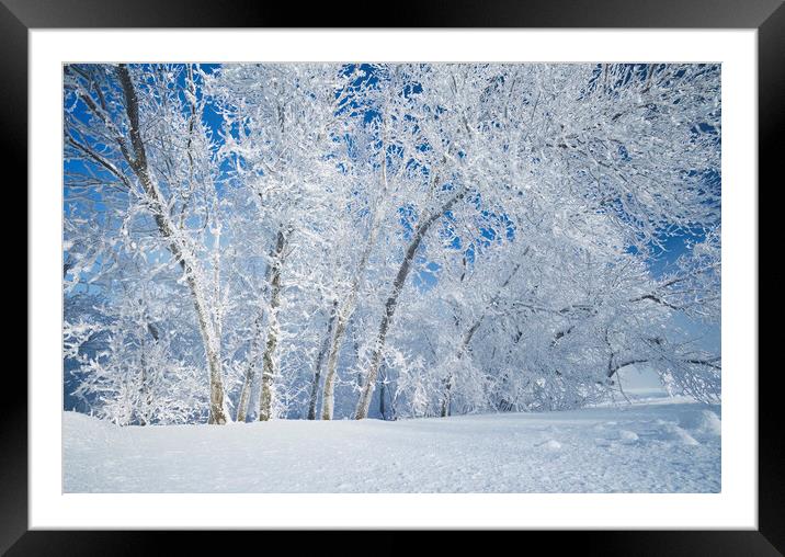 Frosty Day Framed Mounted Print by Dave Reede