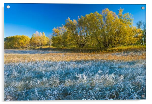 Autumn Frost Acrylic by Dave Reede