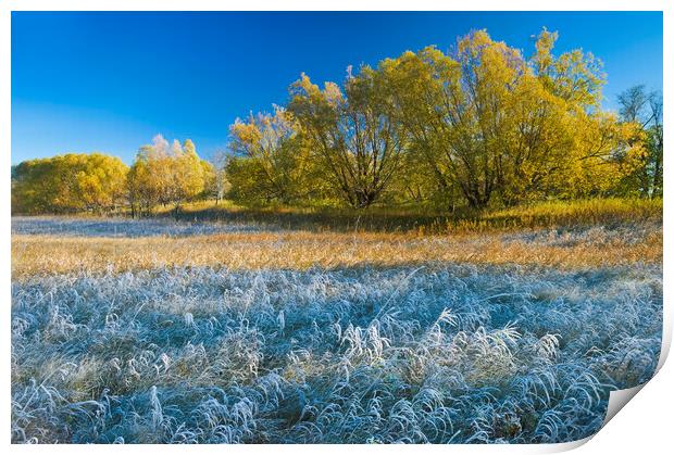 Autumn Frost Print by Dave Reede