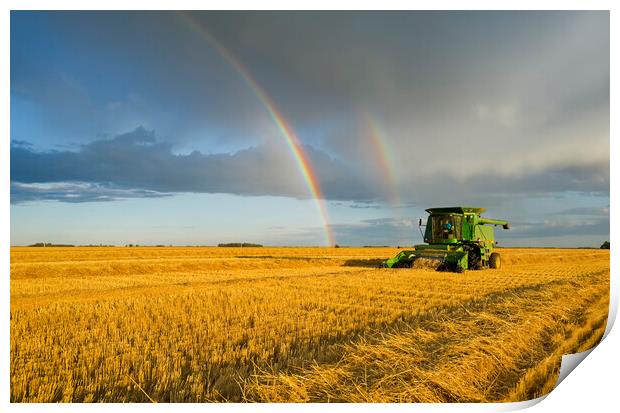 Evening Harvest Print by Dave Reede