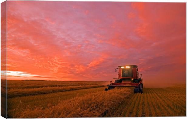 Bringing In the Crop Canvas Print by Dave Reede