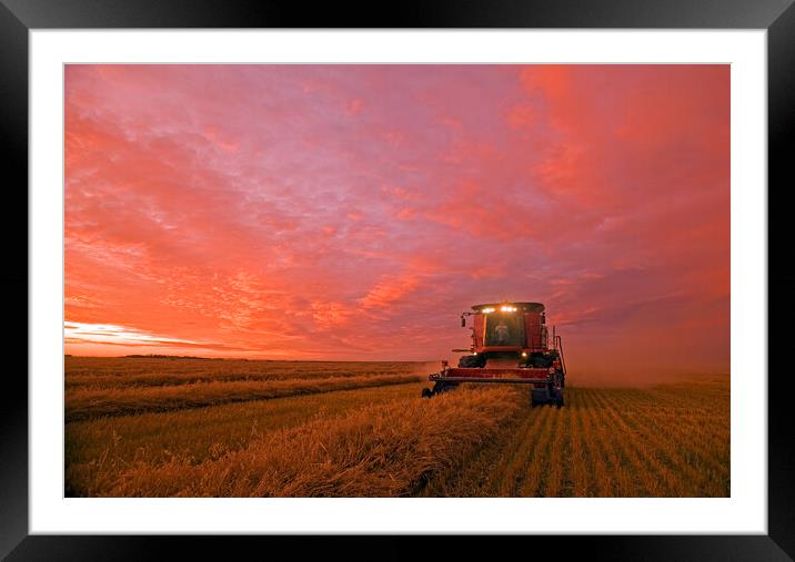 Bringing In the Crop Framed Mounted Print by Dave Reede
