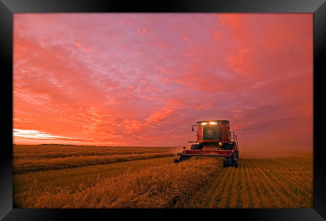 Bringing In the Crop Framed Print by Dave Reede