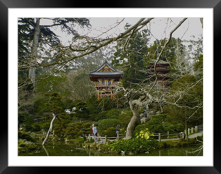 Japanese tea garden San Francisco Framed Mounted Print by radoslav rundic