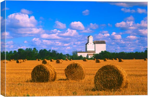 Straw Bales With Old Grain Elevator in the Background Canvas Print by Dave Reede