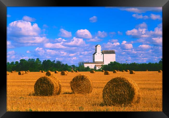 Straw Bales With Old Grain Elevator in the Background Framed Print by Dave Reede