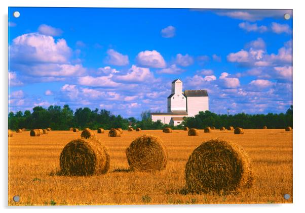 Straw Bales With Old Grain Elevator in the Background Acrylic by Dave Reede