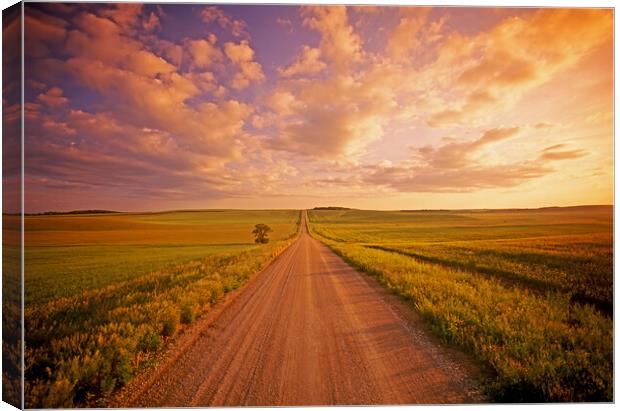 Never Ending Country Road Canvas Print by Dave Reede