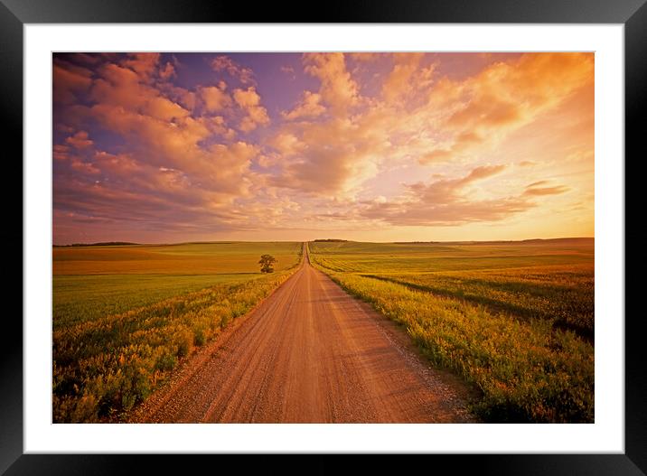 Never Ending Country Road Framed Mounted Print by Dave Reede
