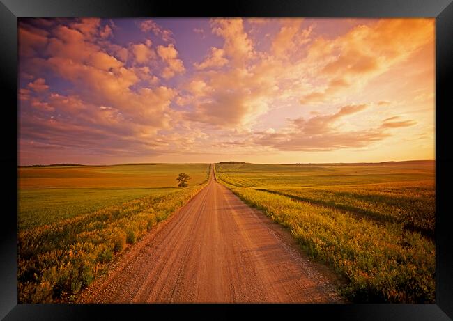 Never Ending Country Road Framed Print by Dave Reede