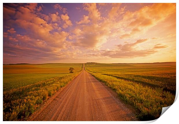 Never Ending Country Road Print by Dave Reede