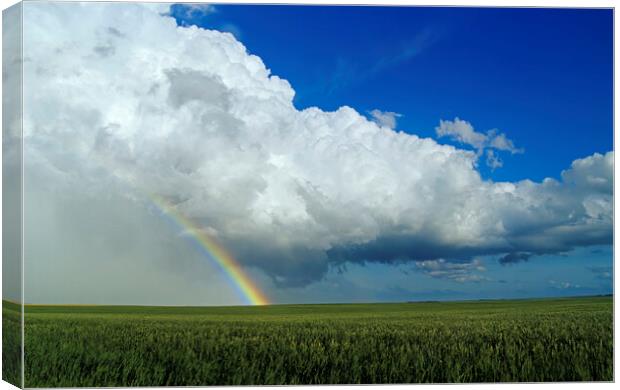Rainbow Over Wheat Field Canvas Print by Dave Reede