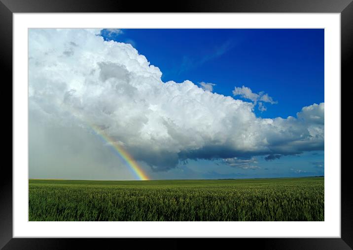 Rainbow Over Wheat Field Framed Mounted Print by Dave Reede