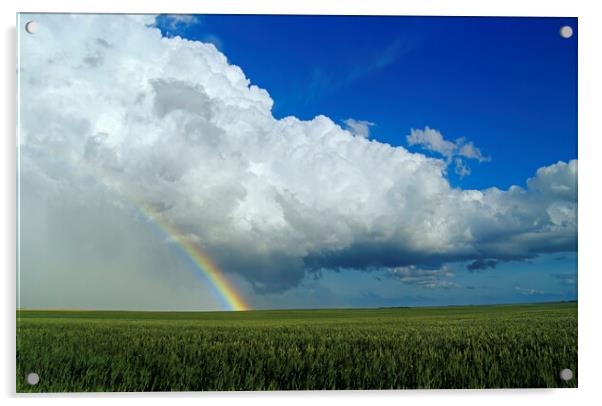 Rainbow Over Wheat Field Acrylic by Dave Reede