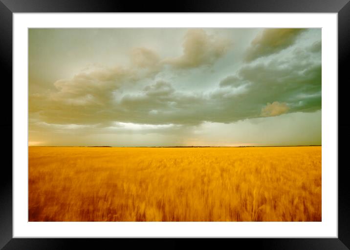 Windy Evening Framed Mounted Print by Dave Reede