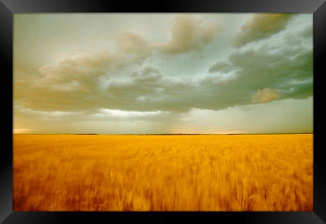 Windy Evening Framed Print by Dave Reede