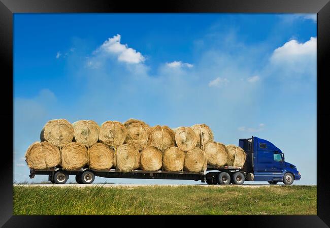 Trucking the Bales Framed Print by Dave Reede