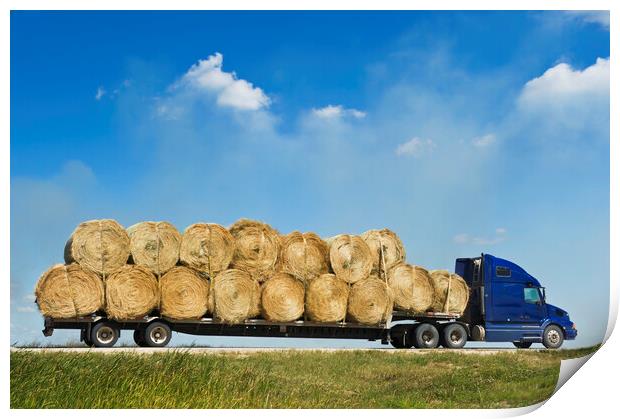 Trucking the Bales Print by Dave Reede