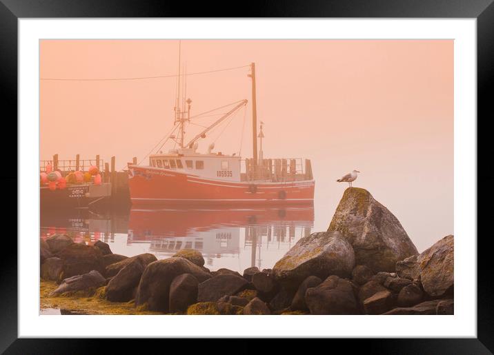 Waiting For the Fog to Clear Framed Mounted Print by Dave Reede
