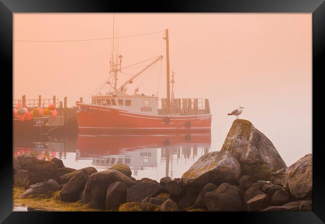 Waiting For the Fog to Clear Framed Print by Dave Reede