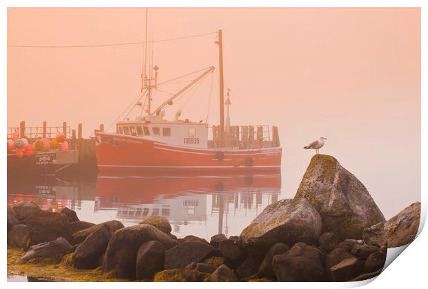 Waiting For the Fog to Clear Print by Dave Reede