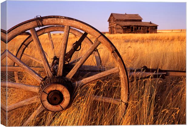 Homestead on the Prairies Canvas Print by Dave Reede