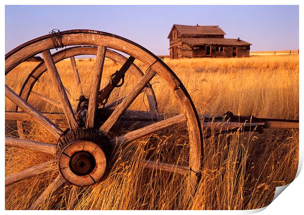Homestead on the Prairies Print by Dave Reede
