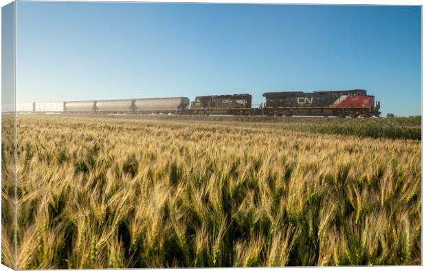 Train Passing a Wheat Field Canvas Print by Dave Reede