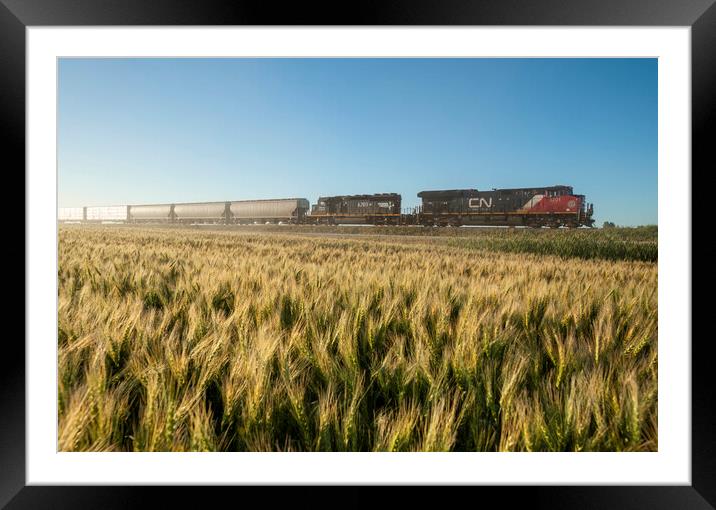 Train Passing a Wheat Field Framed Mounted Print by Dave Reede