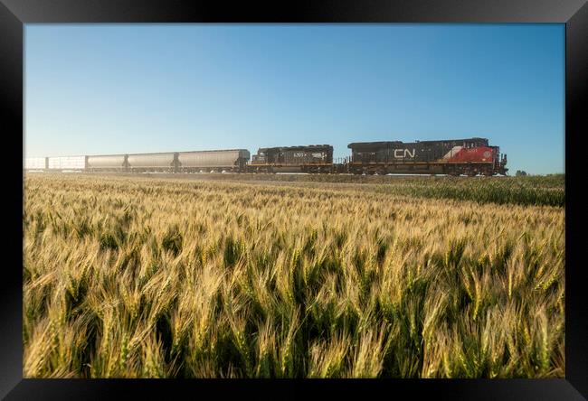 Train Passing a Wheat Field Framed Print by Dave Reede