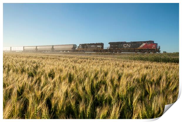 Train Passing a Wheat Field Print by Dave Reede