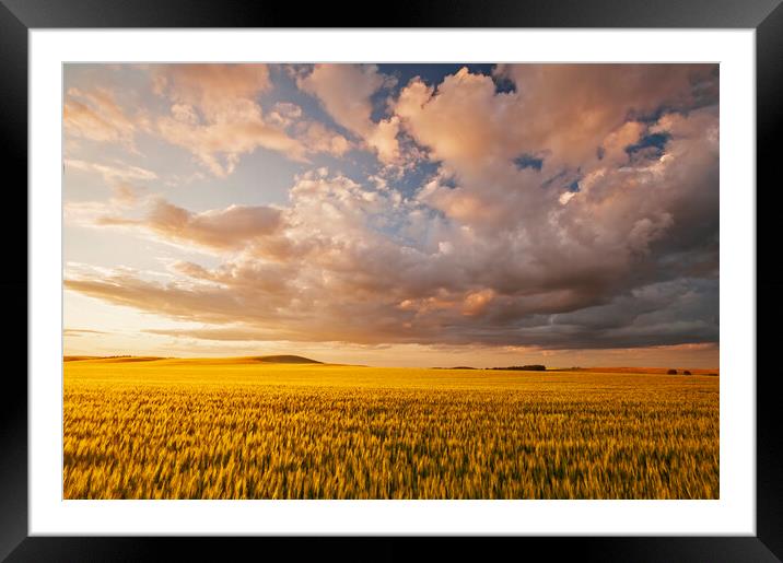 Stormy Prairie Sky Framed Mounted Print by Dave Reede