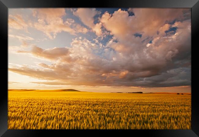 Stormy Prairie Sky Framed Print by Dave Reede
