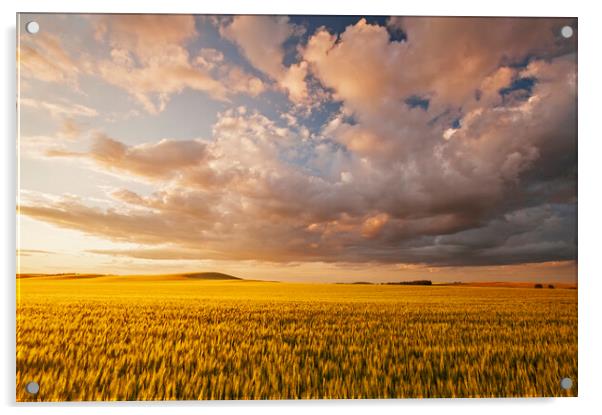 Stormy Prairie Sky Acrylic by Dave Reede